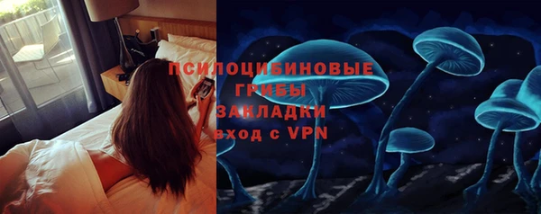 мяу мяу мука Алексин
