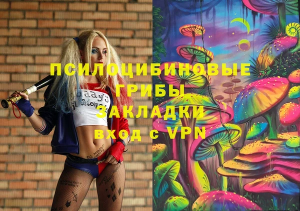a pvp Алзамай