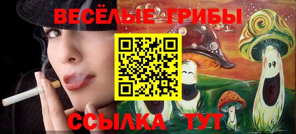 Псилоцибиновые грибы прущие грибы Каменск-Уральский